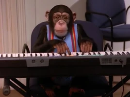 Monkey Business