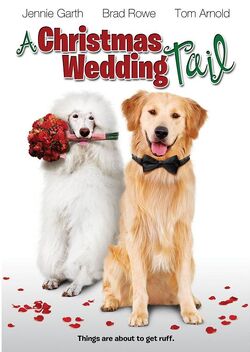 AChristmasWeddingTail-DVD