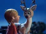Iggy meets Blitzen
