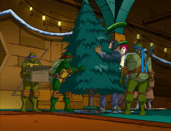 Turtles setting up their tree
