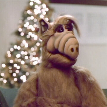 Alf Christmas Specials Wiki Fandom