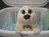 Nog