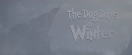 TheDogDaysofWinter