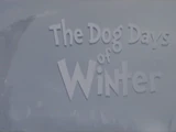 The Dog Days of Winter