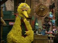 Big Bird misses Snuffy.