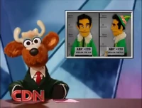 Charles Blitzen of the CDN reports on Stiller's setback.