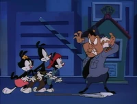 ...and Plotz is now the security guard tormented by the Warners.