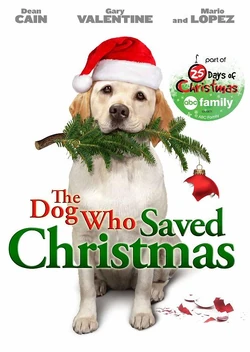 The DVD cover.