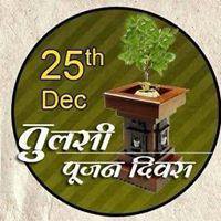 Tulsi Picto