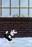 Sylvester should've considered going inside.
