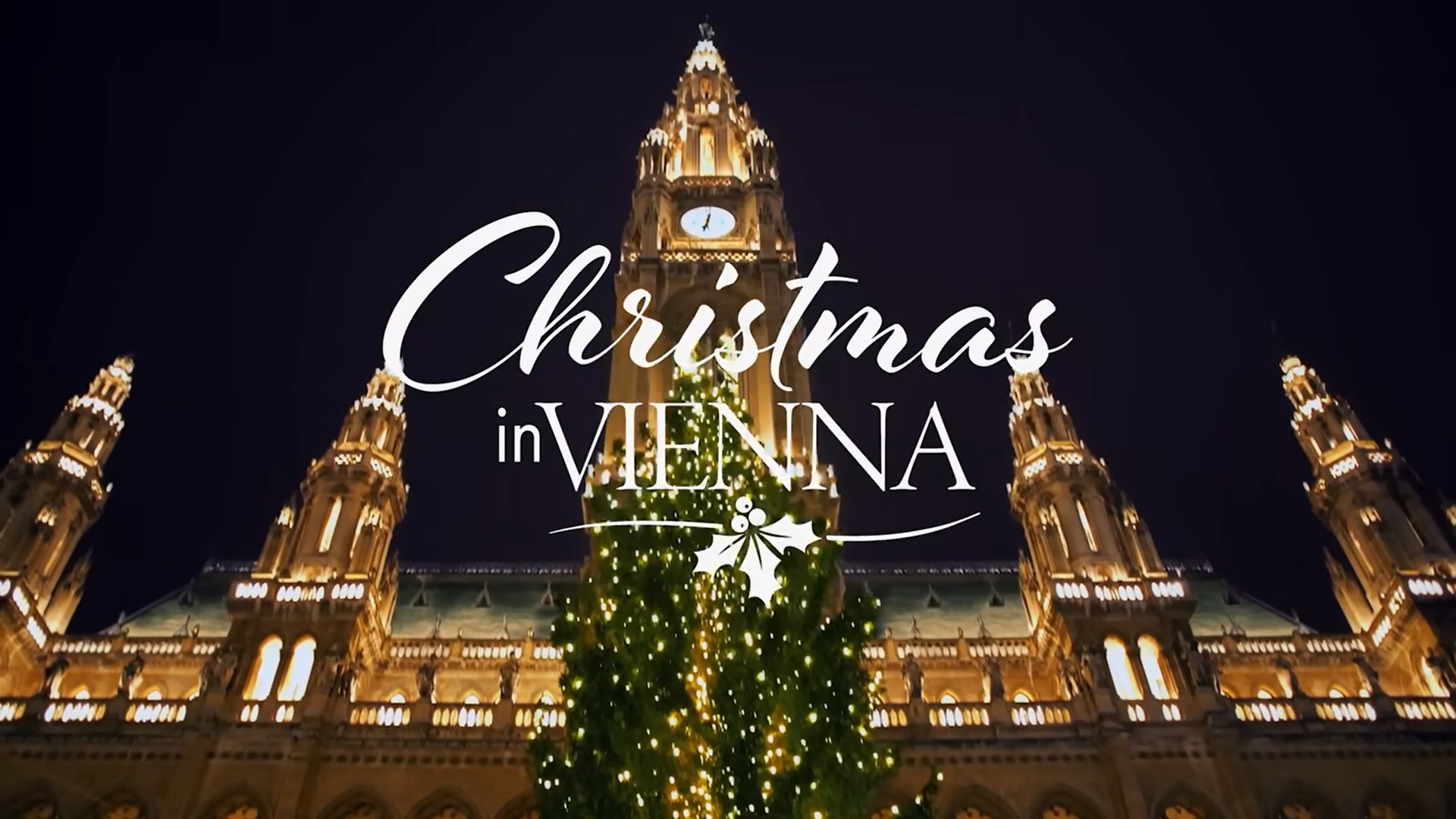 Christmas in Vienna