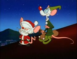 Pinky and the Brain, Christmas Specials Wiki