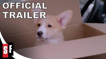 A very corgi christmas online