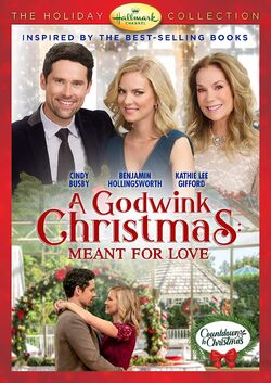 A Godwink Christmas Meant for Love DVD