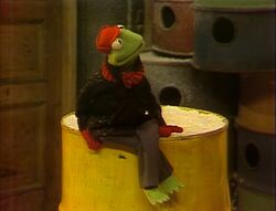 Kermit on Sesame Street