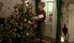 Home-alone-08.jpg