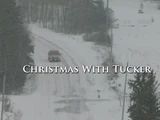 Christmas with Tucker