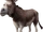 Old Donkey