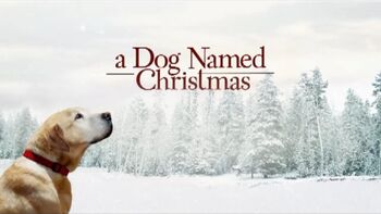 A Dog Named Christmas