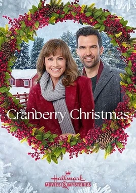 Cranberry Christmas Poster