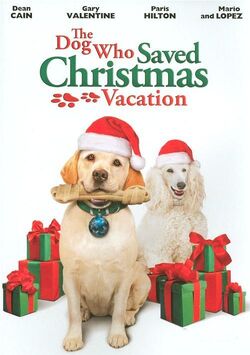 TheDogWhoSavedChristmasVacation DVD