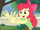 Apple Bloom (EG)