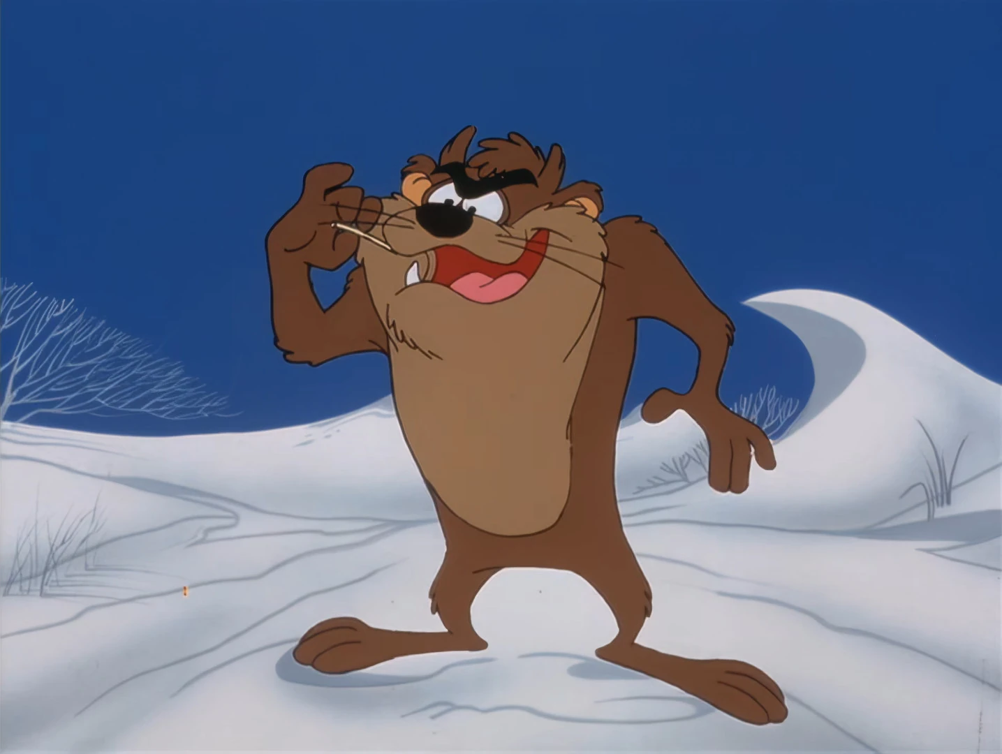 Tasmanian Devil | Christmas Specials Wiki | Fandom, image size:1435x1080