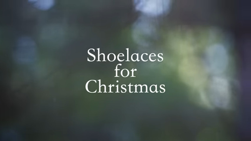 Shoelaces wiki cheap