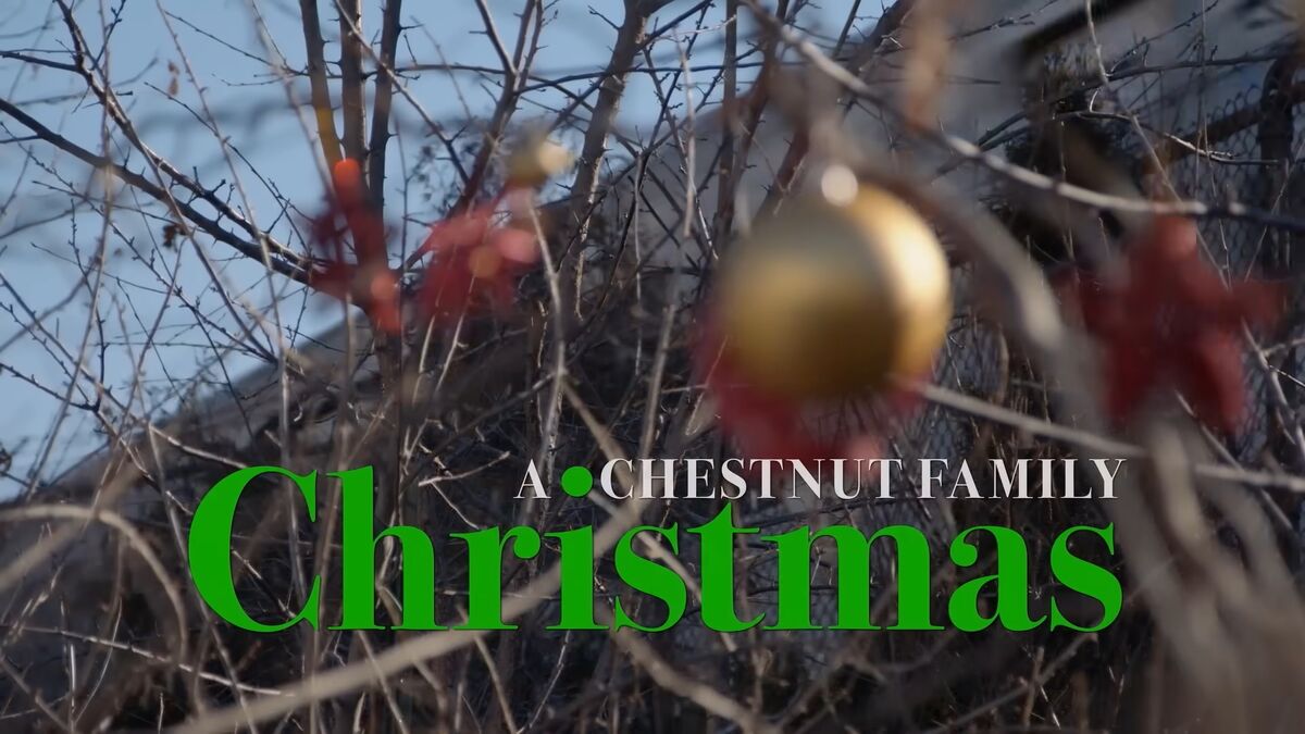 A Chestnut Family Christmas  Christmas Specials Wiki  Fandom