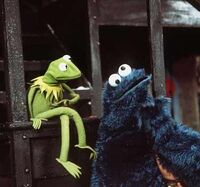 Kermit and Cookie Monster