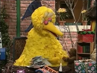 Big Bird has written letters to Snuffy that can't be sent.