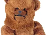 Bungle