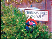 Grover selling Christmas trees in Elmo Saves Christmas