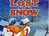 Lost in the Snow