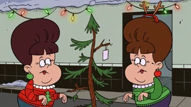 Cheryl and Meryl looking at tree