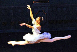 Nutcracker Ballet-Sugar Plum Fairy