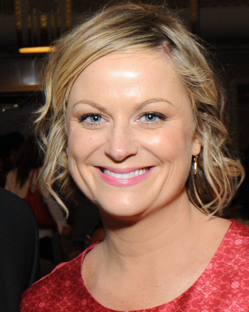 Amy Poehler Christmas Specials Wiki Fandom