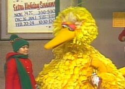 BigBird