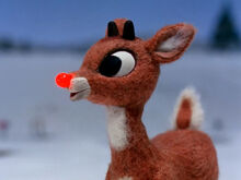 Rudolph.jpg