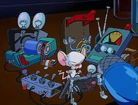 Brain working on his transmission equipment.