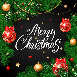 Merry Christmas Picture.jpg