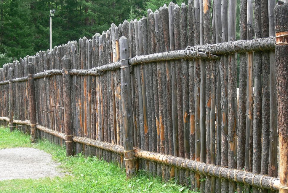 Back-to-Basics Building Fences and garden supports using sticks and small logs R