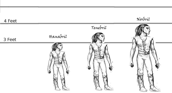 Arn-races-halfling-01