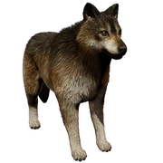 Chronicles-of-Elyria-Festival-of-Passage-Wolf