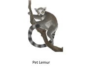 Lemur conceptart pet