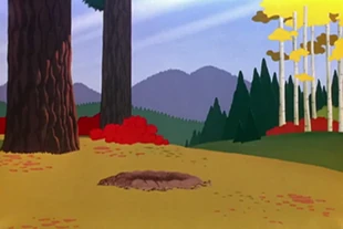 The Woods