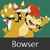Coi bowser icon