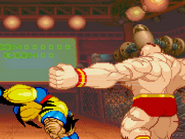 Wolverine and Zangief fighting