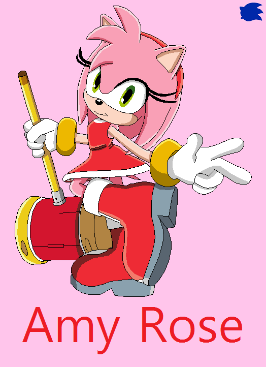 Amy Rose by Charuzu2712  Amy rose, Hedgehog movie, Amy the hedgehog