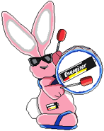 The Energizer Bunny